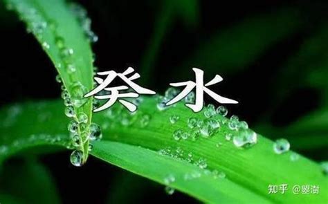 癸水生甲木|通俗的讲讲十天干的喜忌之癸水